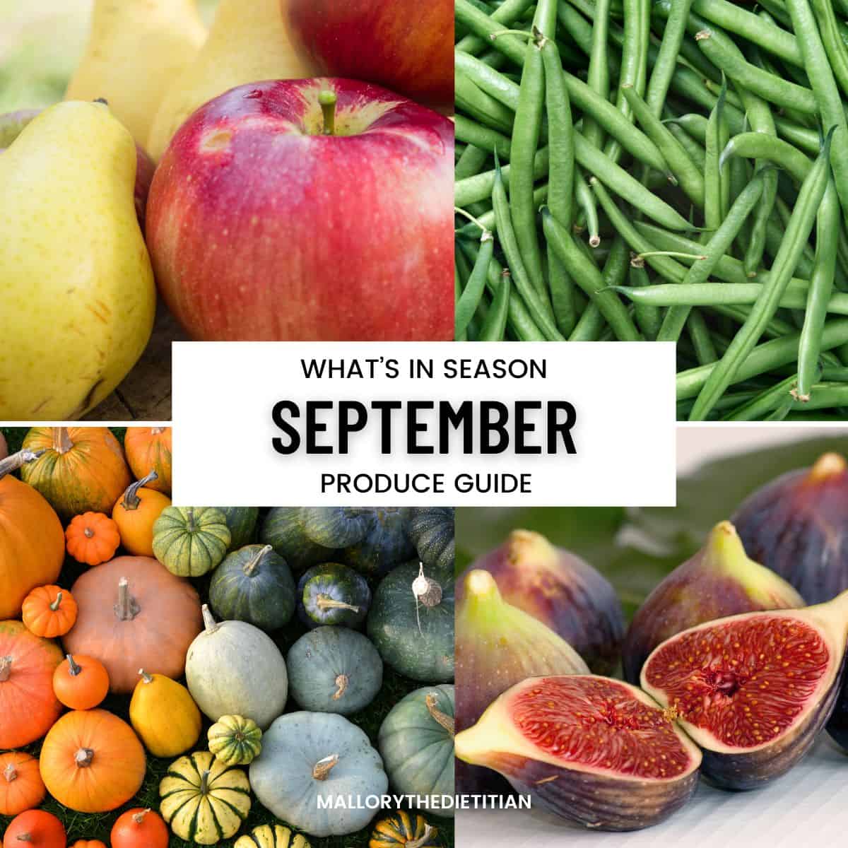 Your Essential September Produce Guide: Navigating Early Fall Flavors